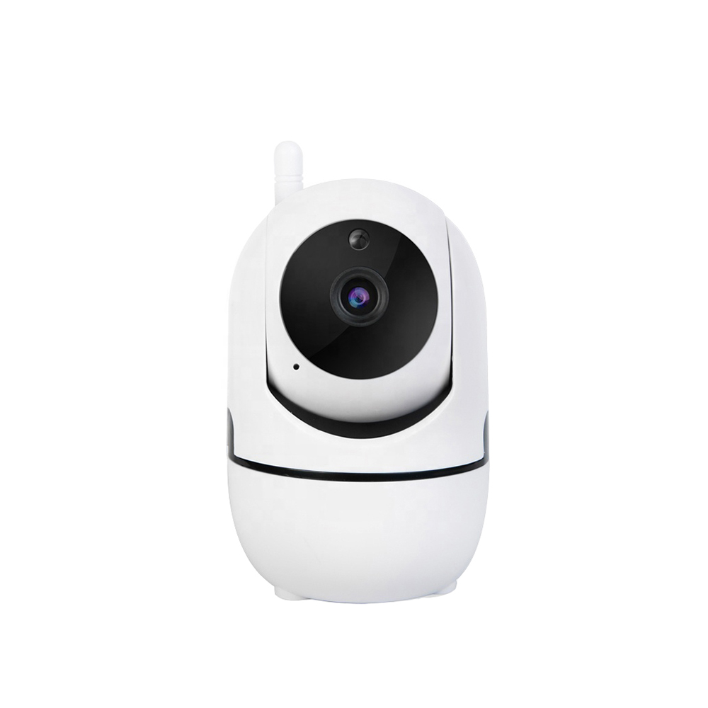 2/3.0MP Mini Wireless Minions IP Camera Manufacturer