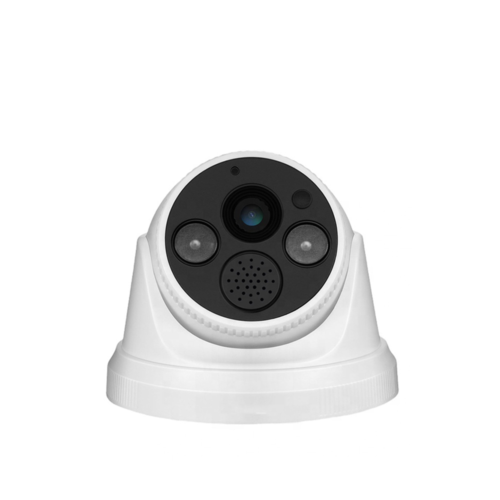 H.265 IR Dome Two Way Audio IP Security Surveillance HD Wifi Camera