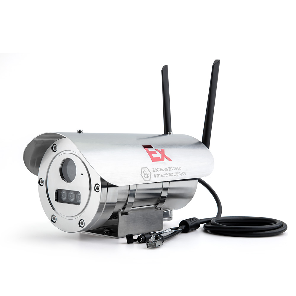Telecamera CCTV A Cupola BW 700 TVL CCD, Antivandalo E Resistente Alle Intemperie, Alloggiamento In Metallo, Visione Notturna 20m